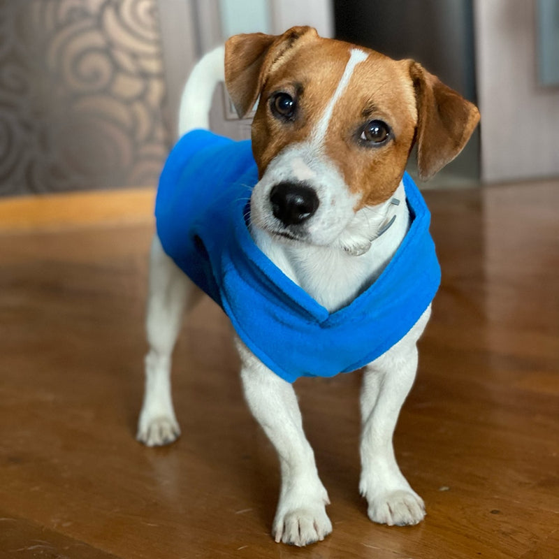 Roupas de lã para cães de estimaçao de inverno, roupas para cachorros,buldogue françes,casaco,fantasias de pug jaqueta para cães pequenos