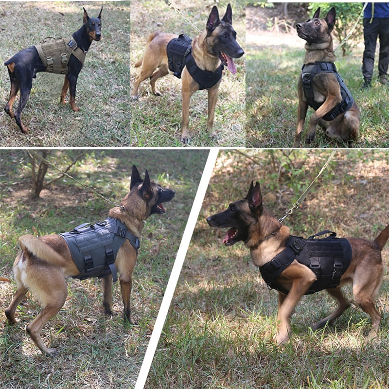 Colete militar tatico k9 para animais de estimaçao pastor alemão golden retriever treinamento tatico