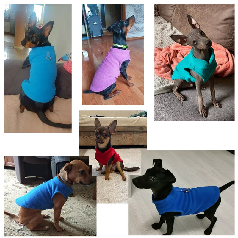 Roupas de lã para cães de estimaçao de inverno, roupas para cachorros,buldogue françes,casaco,fantasias de pug jaqueta para cães pequenos