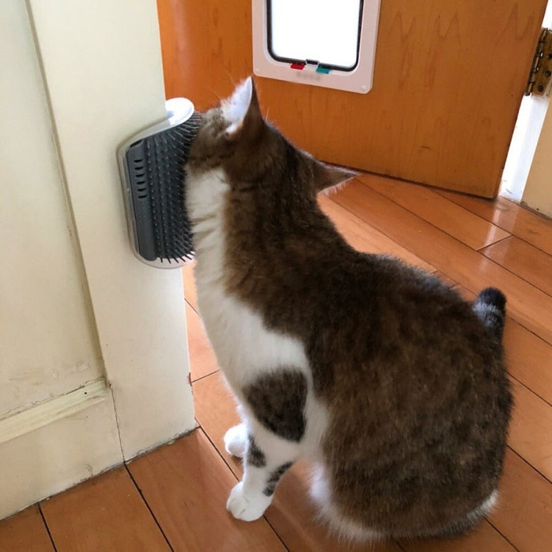 escova de tira de cabelo com catnip brinquedo de massagem para gatode estimação na parede