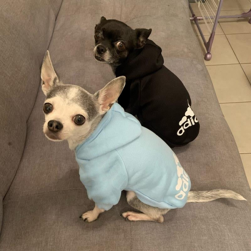 Roupas para caes de estimaçao de inverno 2023 moletons com capuz de lã pequeno medio grande para cães jaqueta roupas para animais de estimaçao.