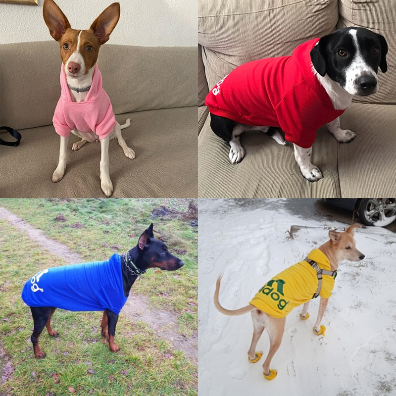 Roupas para caes de estimaçao de inverno 2023 moletons com capuz de lã pequeno medio grande para cães jaqueta roupas para animais de estimaçao.