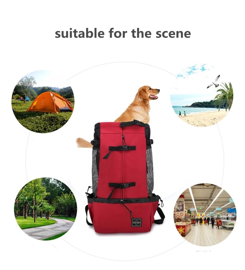 Bolsa transportadora respiravel para cães, portatil para animais de estimação,mochila de viagem ao ar livre reflexiva,para gatos e filhotes.